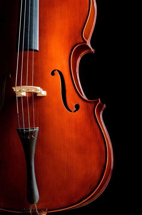 cello pics|beautiful cello wallpaper.